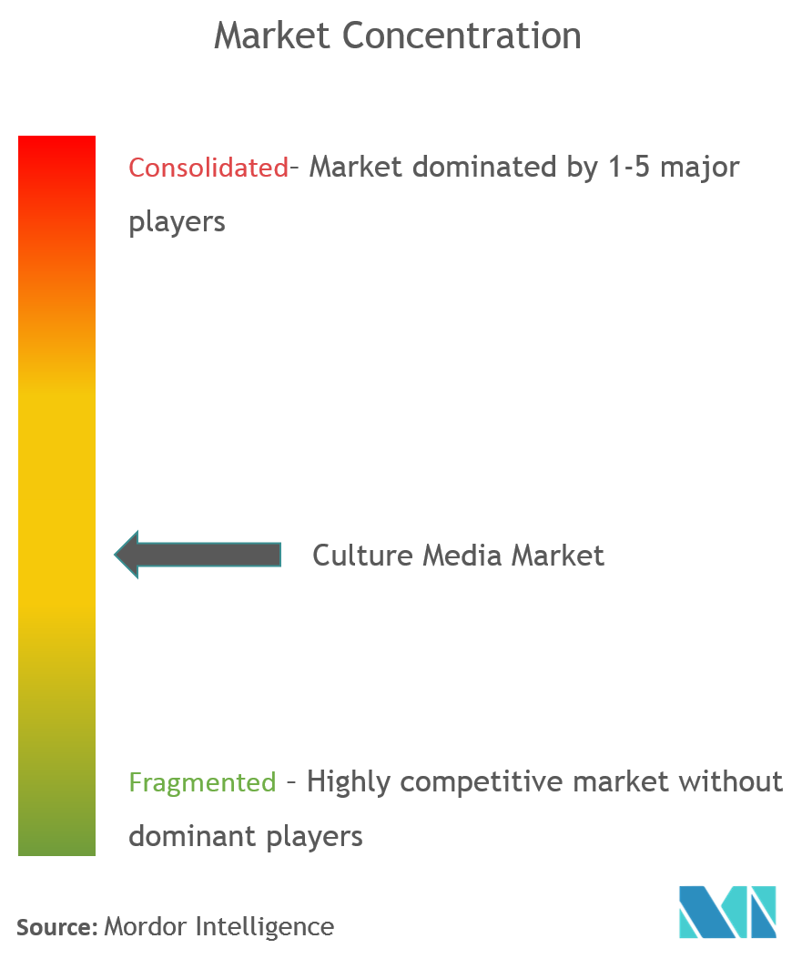 Culture Media Market Concentration